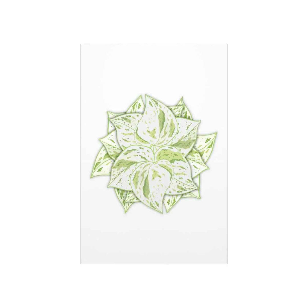 Snow Queen Pothos Print – Variegated Pothos Art on Museum Grade Paper Unframed