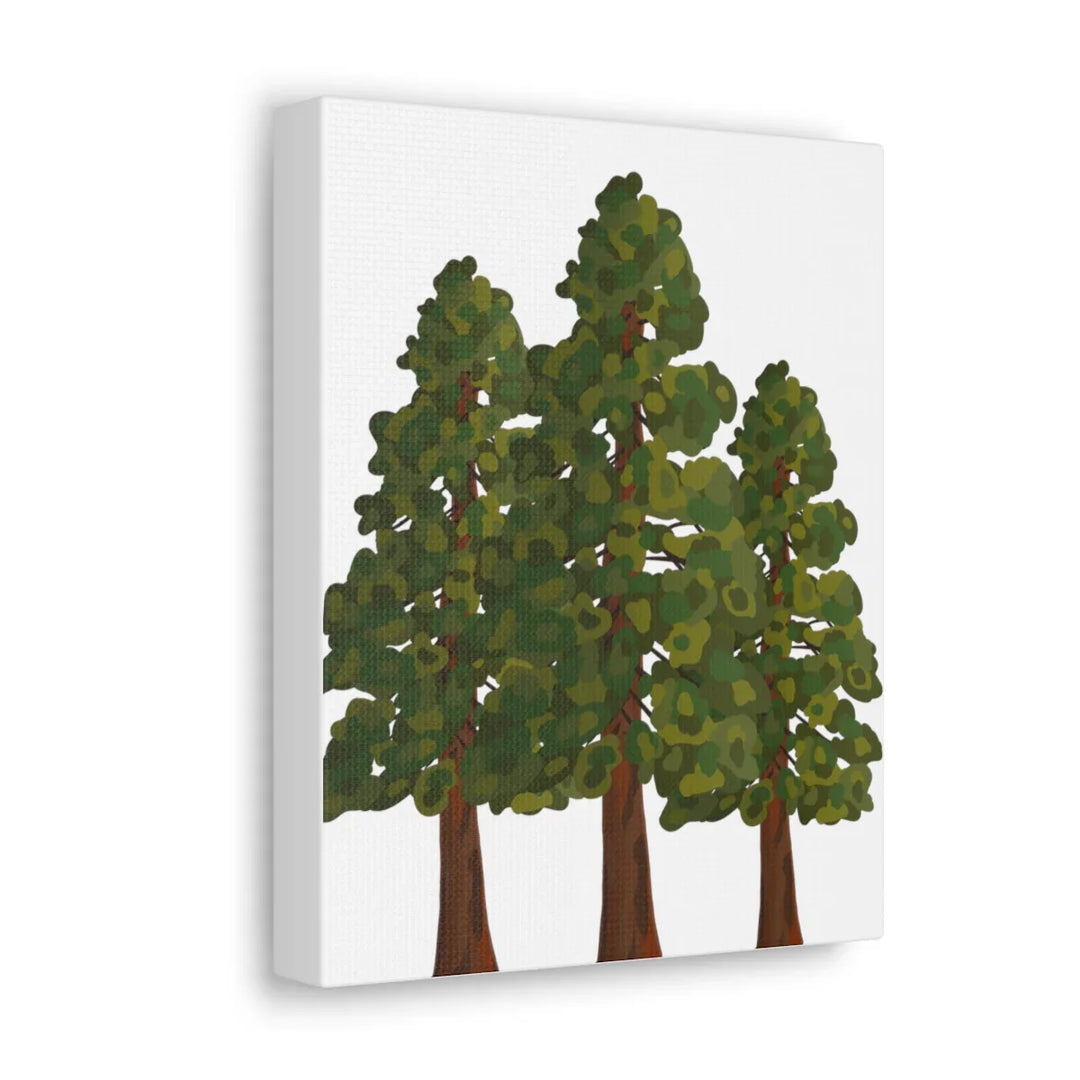 Coastal Redwoods Canvas - Stretched Cotton Canvas Art Print | Matte Finish Wall Hanging Artwork