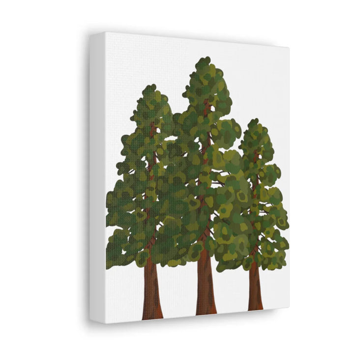 Coastal Redwoods Canvas - Stretched Cotton Canvas Art Print | Matte Finish Wall Hanging Artwork
