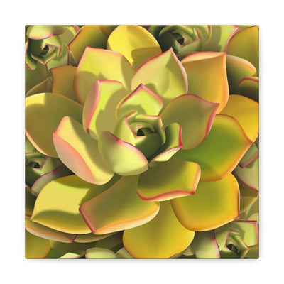 Noble Aeonium Succulent Pattern Canvas, Canvas, Printify, Art & Wall Decor, Canvas, Hanging Hardware, Home & Living, Indoor, Laura Christine Photography & Design, laurachristinedesign.com