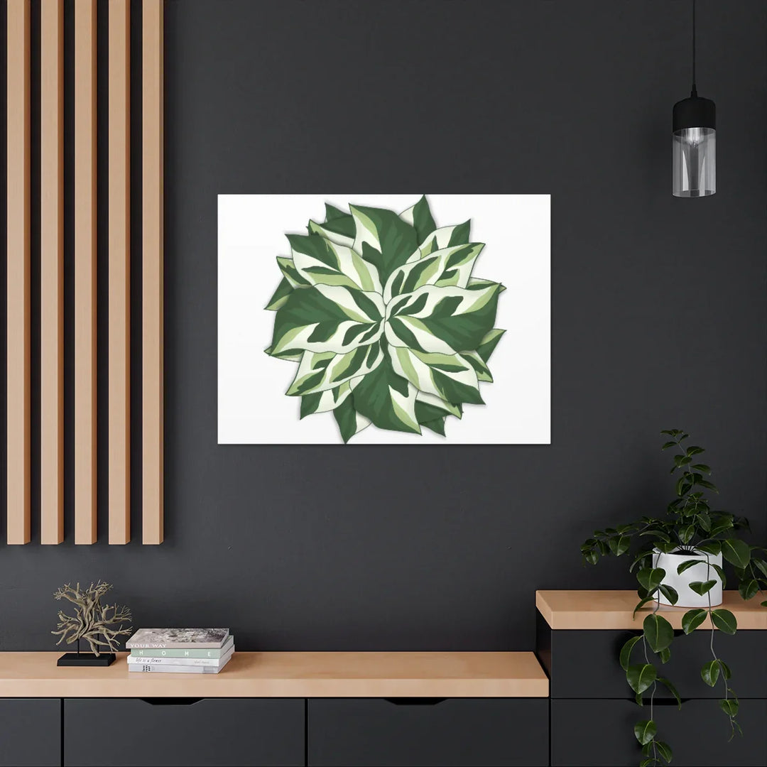 Calathea White Fusion Canvas | Indoor Wall Art - Matte Finish Botanical Canvas Art Print - Laura Christine Photography & Design