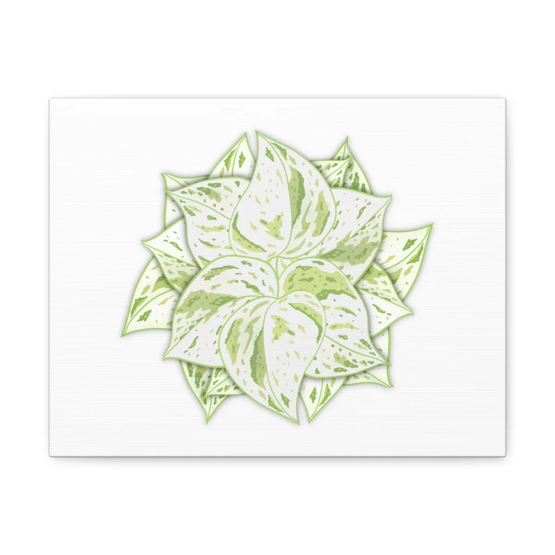 Snow Queen Pothos Canvas – Variegated Leaf Canvas Art Print | Durable Cotton - Laura Christine Photography & Design
