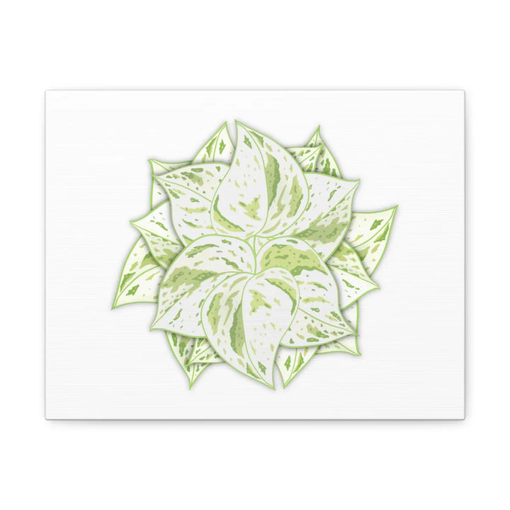 Snow Queen Pothos Canvas – Variegated Leaf Canvas Art Print | Durable Cotton - Laura Christine Photography & Design