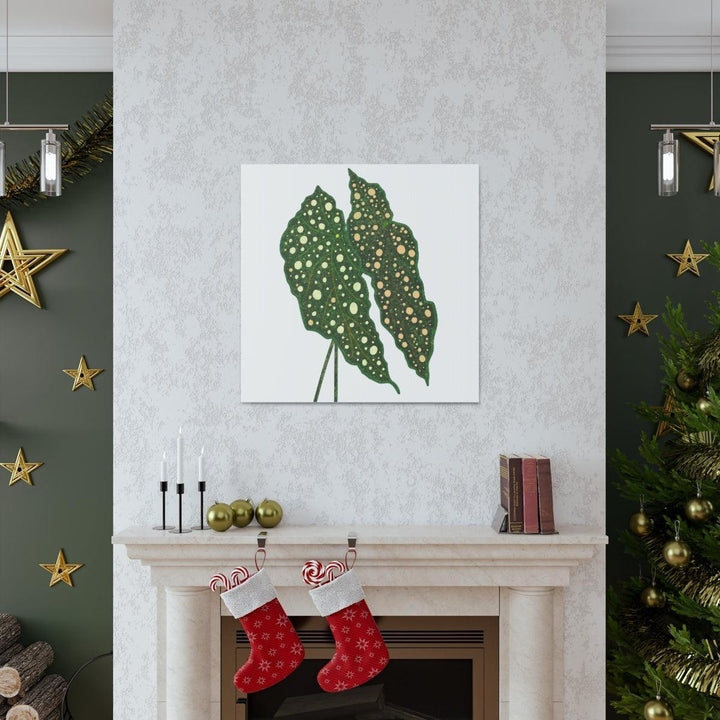 Begonia Maculata Canvas | Premium Canvas Art Print - Matte Finish, Durable Wall Decor - Laura Christine Photography & Design