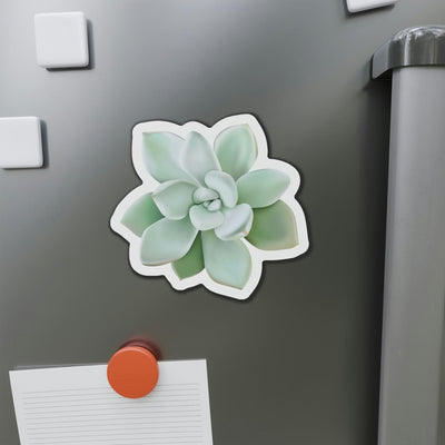 Pachyveria Haagei Succulent Magnets, Home Decor, Printify, Home & Living, Magnets, Magnets & Stickers, Valentine's Day promotion, Laura Christine Photography & Design, laurachristinedesign.com