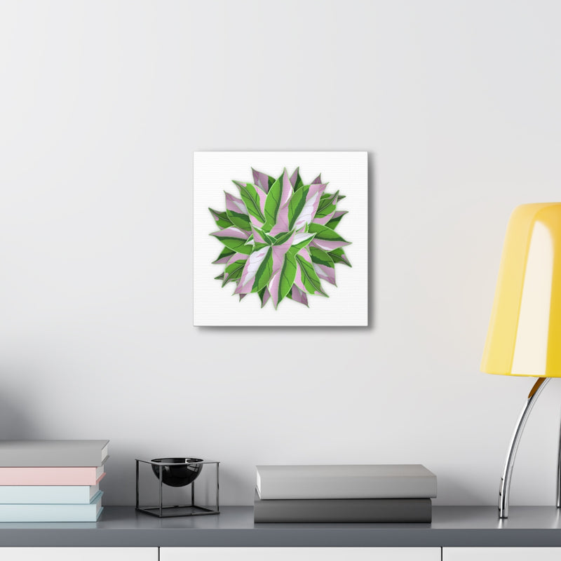 Tricolor Syngonium Canvas