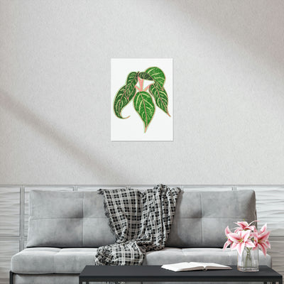 Aglaonema Sparkling Sarah Print