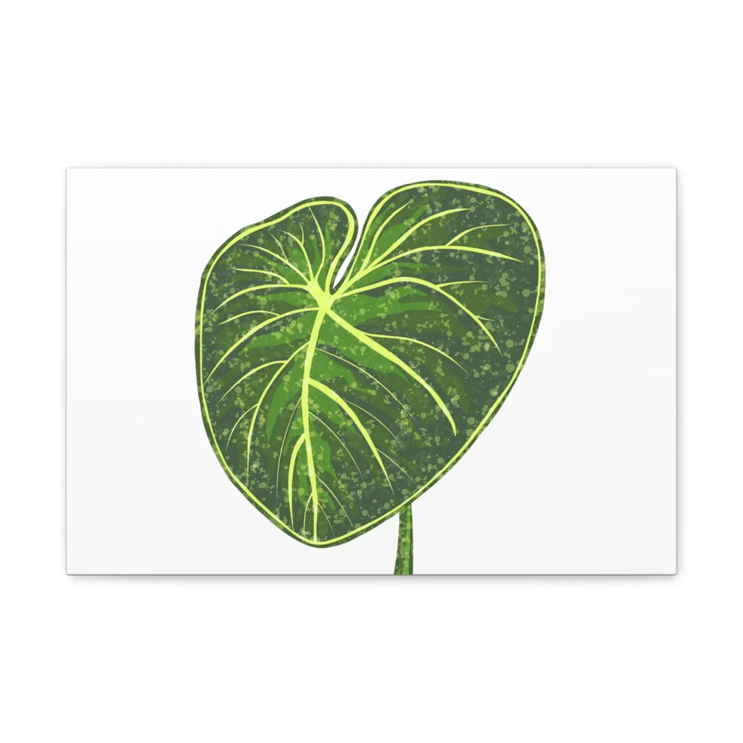 Philodendron Gloriosum Canvas - Stretched Canvas Art Print | Matte Indoor Wall Art - Laura Christine Photography & Design