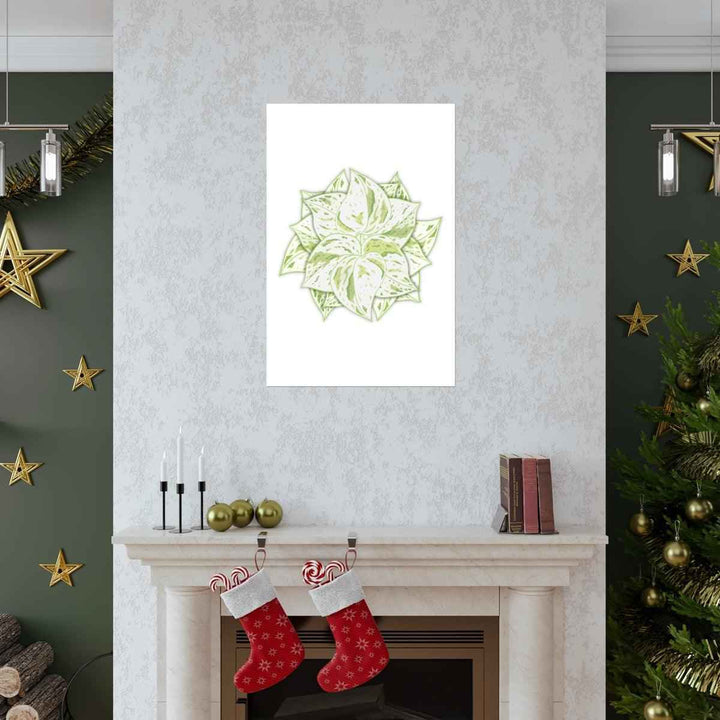 Snow Queen Pothos Print – Variegated Pothos Art on Museum Grade Paper Unframed