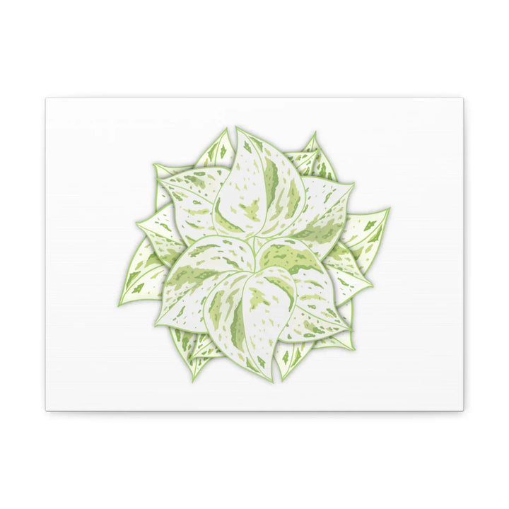 Snow Queen Pothos Canvas – Variegated Leaf Canvas Art Print | Durable Cotton - Laura Christine Photography & Design