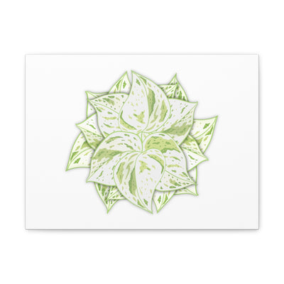 Snow Queen Pothos Canvas