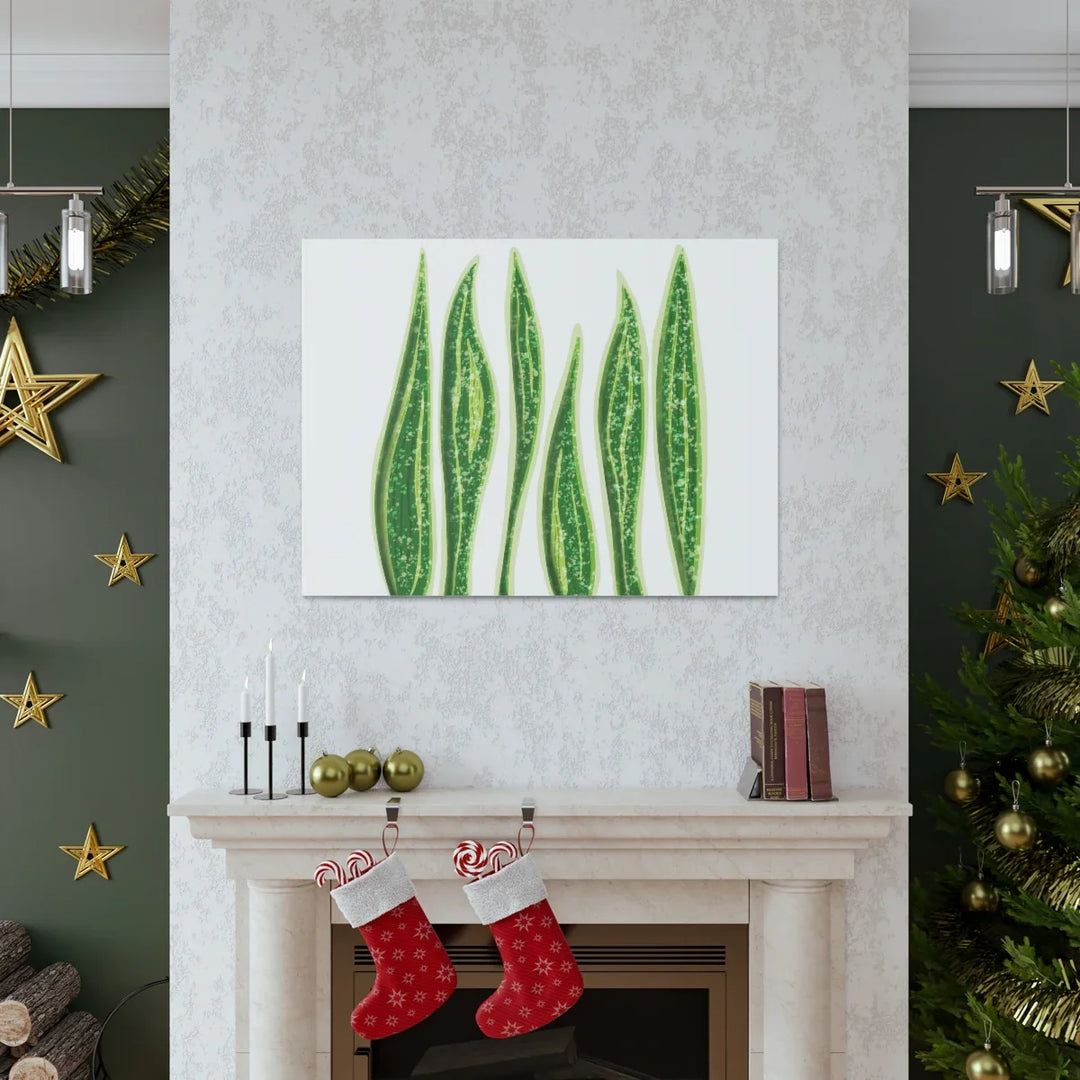 Snake Plant Canvas | Botanical Canvas Decor - Matte Finish Artwork for Living Room - Laura Christine Photography & Design