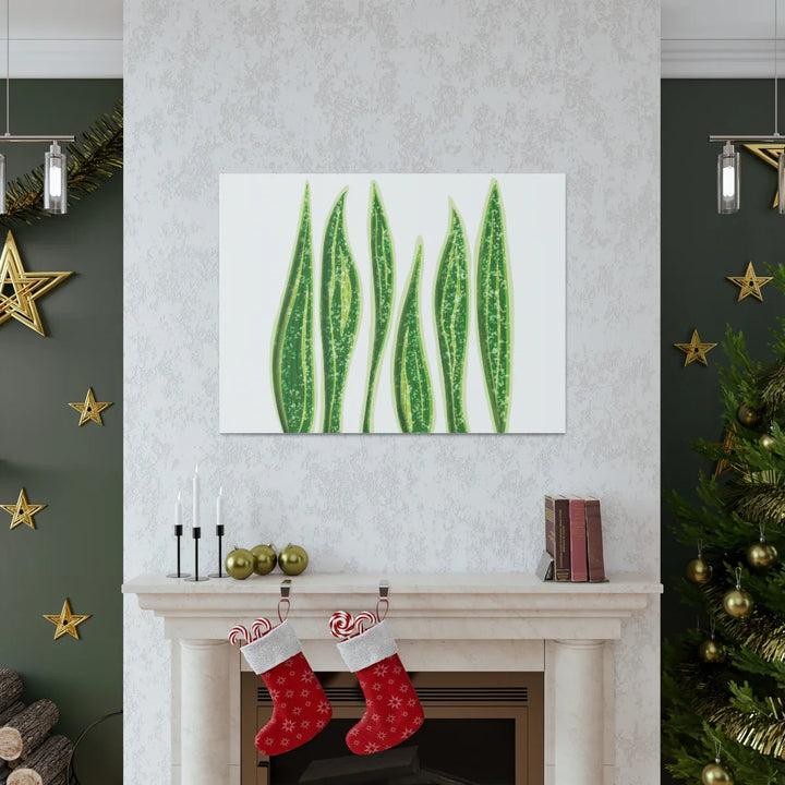 Snake Plant Canvas | Botanical Canvas Decor - Matte Finish Artwork for Living Room - Laura Christine Photography & Design