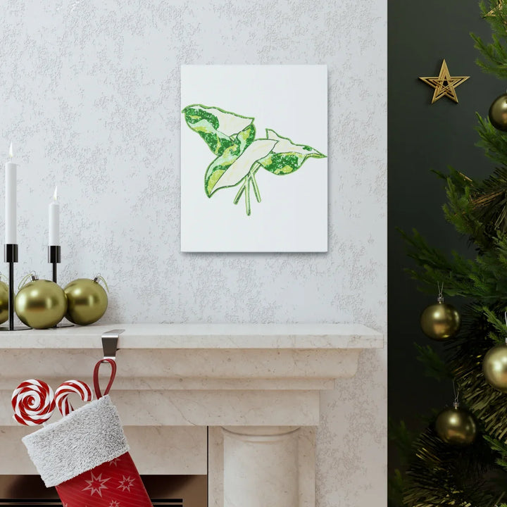 Marble Syngonium Canvas - Botanical Canvas Art Print | Durable Cotton Matte Finish - Laura Christine Photography & Design