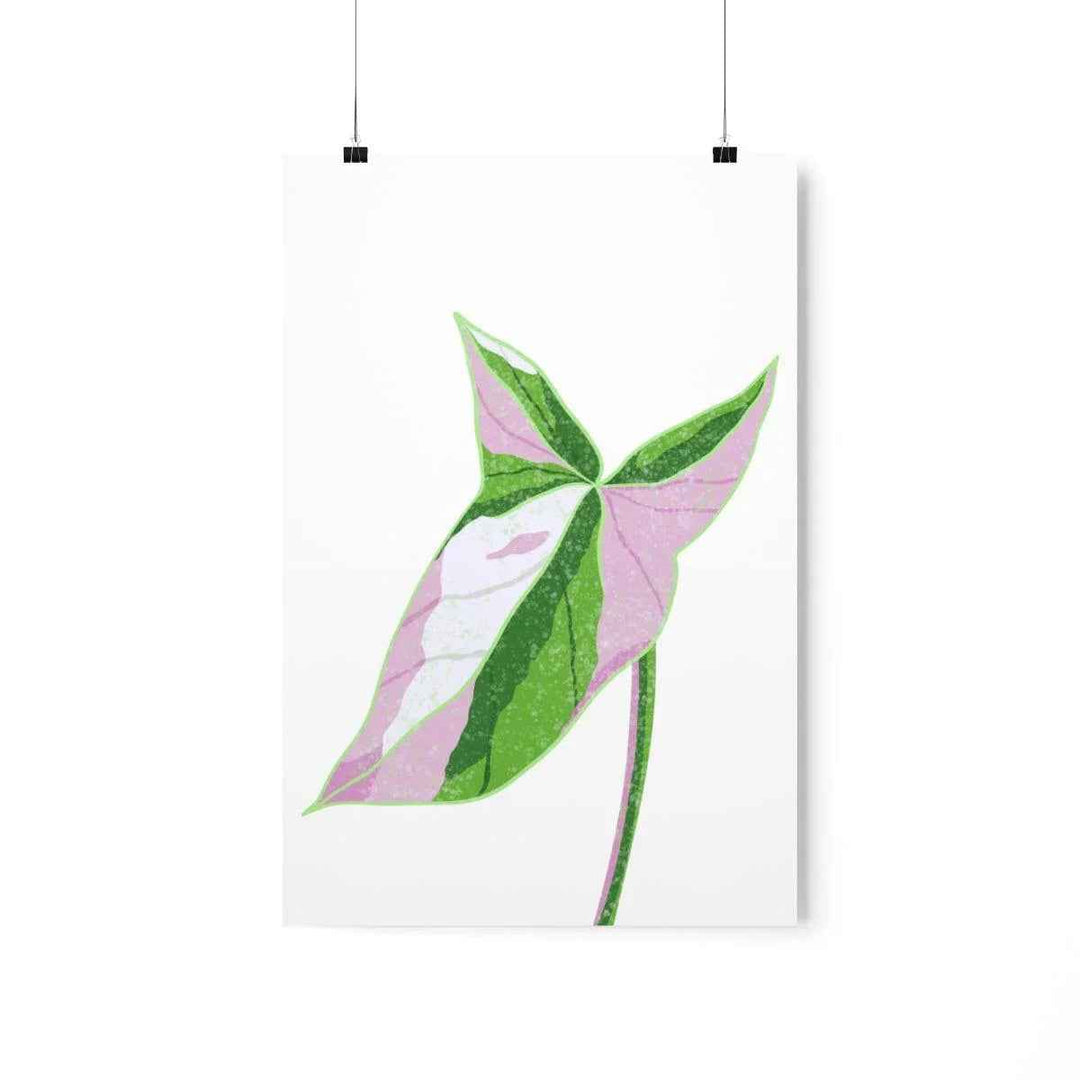 Syngonium Tricolor Print – Botanical Wall Art | Variegated Leaf Poster Unframed