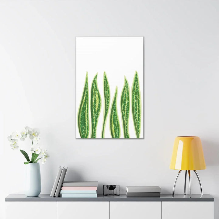 Snake Plant Canvas | Botanical Canvas Decor - Matte Finish Artwork for Living Room - Laura Christine Photography & Design