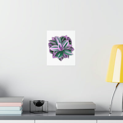 Tradescantia Nanouk Print