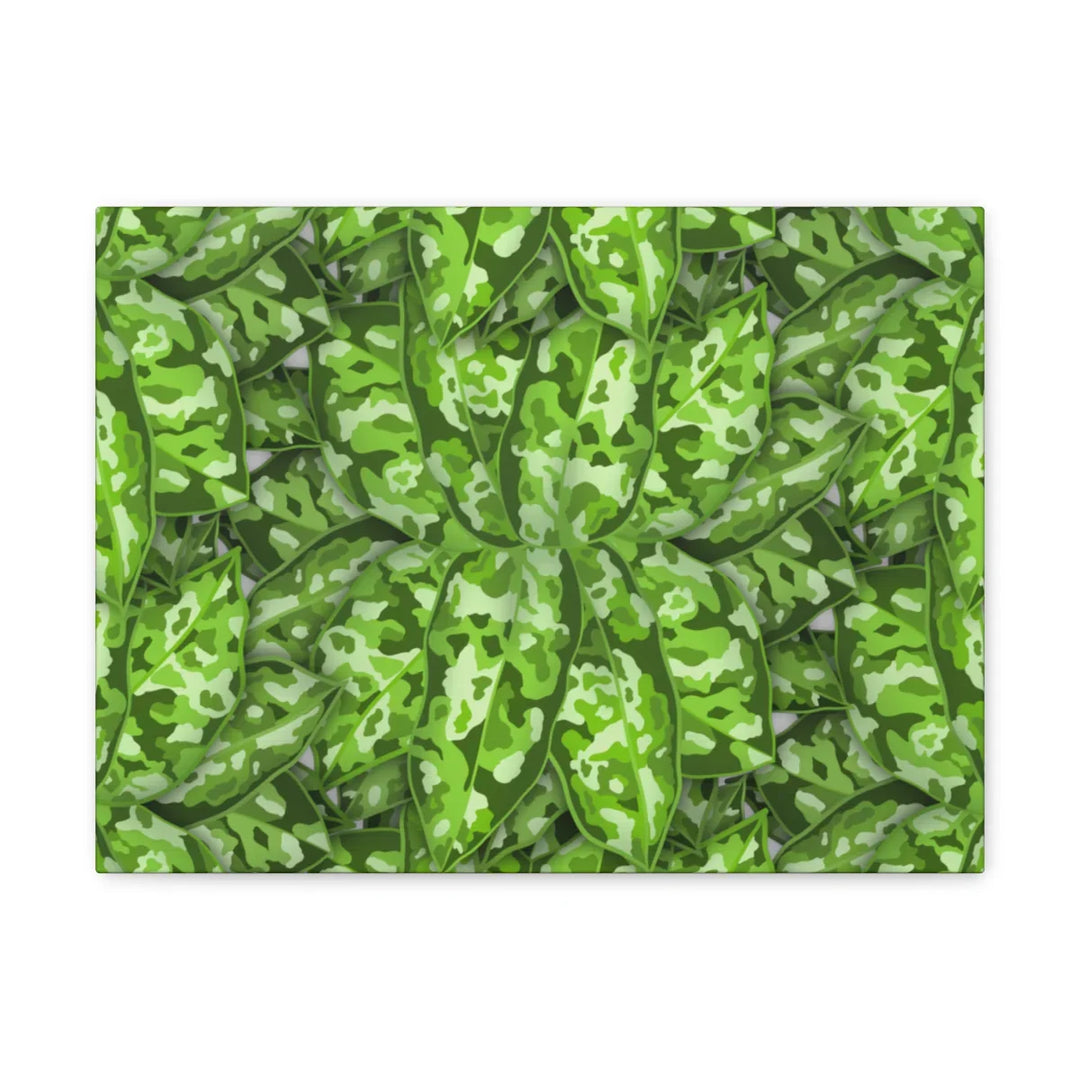Aglaonema Pictum Canvas - Rare Camouflage Leaf Print Canvas Art Print