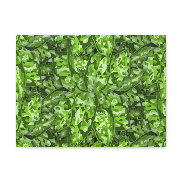 Aglaonema Pictum Canvas - Rare Camouflage Leaf Print Canvas Art Print