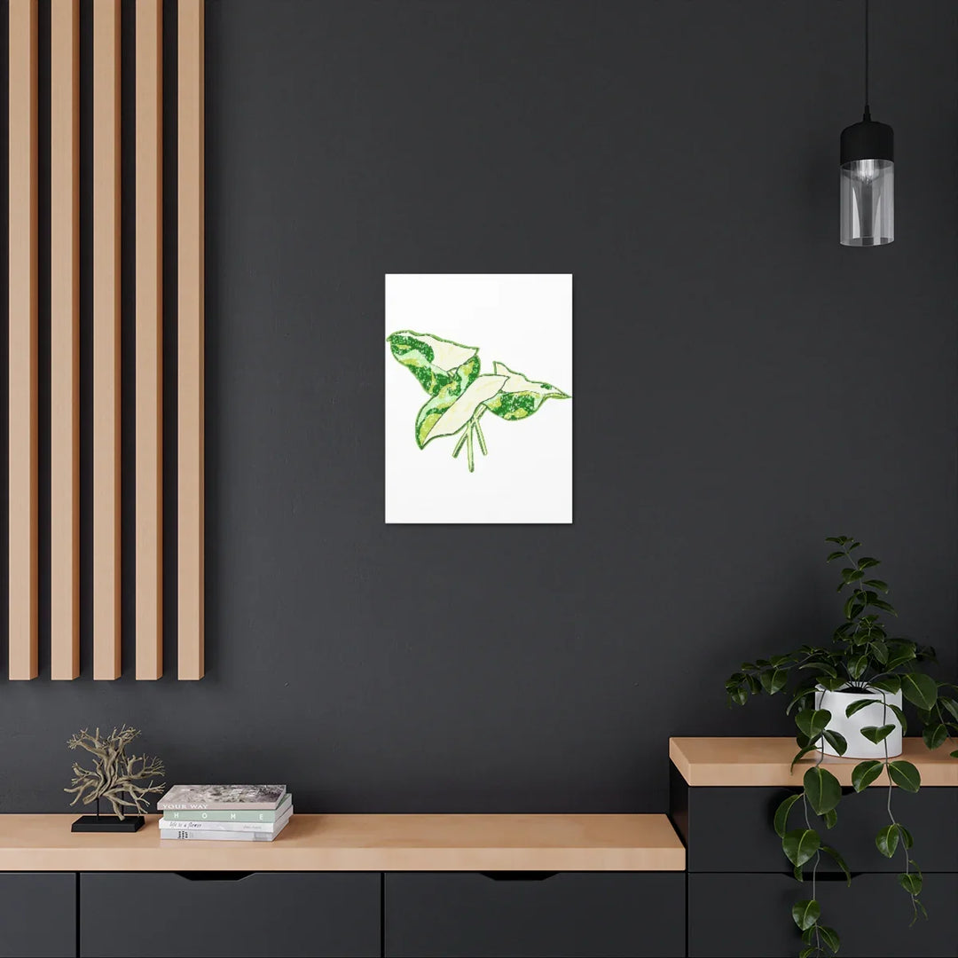 Marble Syngonium Canvas - Botanical Canvas Art Print | Durable Cotton Matte Finish - Laura Christine Photography & Design