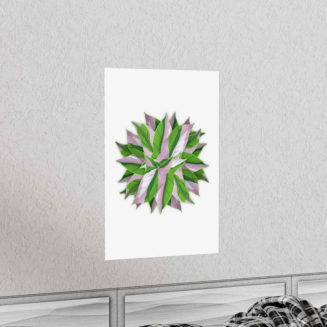 Tricolor Syngonium Print - Botanical Poster on Museum Grade Paper | Archival Ink Unframed