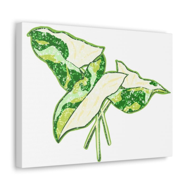 Marble Syngonium Canvas