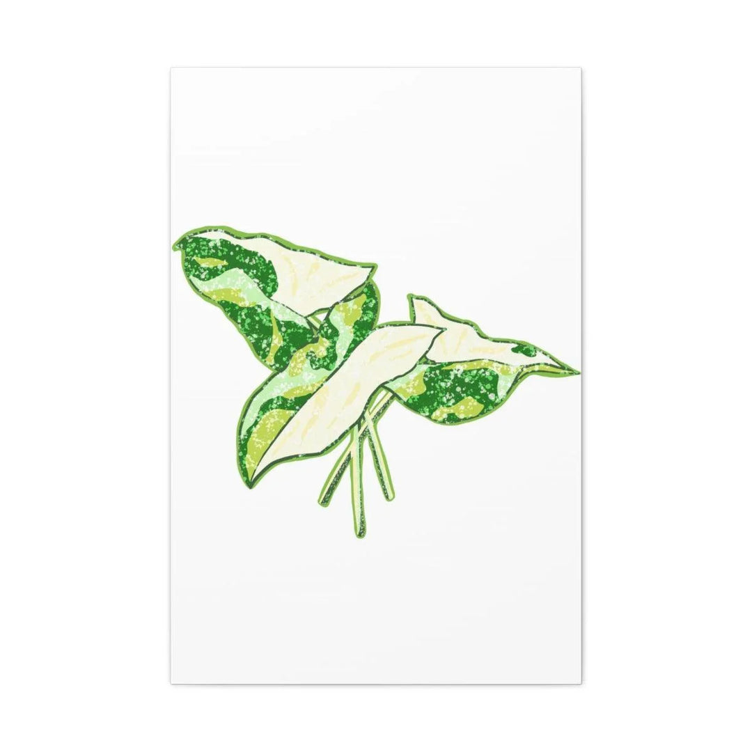 Marble Syngonium Canvas - Botanical Canvas Art Print | Durable Cotton Matte Finish - Laura Christine Photography & Design