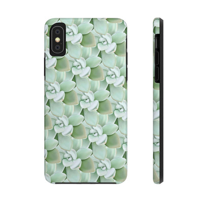 Pachyveria Haagei Succulent Pattern Phone Case, Phone Case, Printify, Accessories, Glossy, iPhone Cases, Matte, Phone accessory, Phone Cases, Samsung Cases, Laura Christine Photography & Design, laurachristinedesign.com