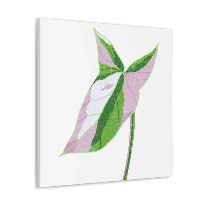 Syngonium Tricolor Canvas | Botanical Canvas Art Print With Matte Finish