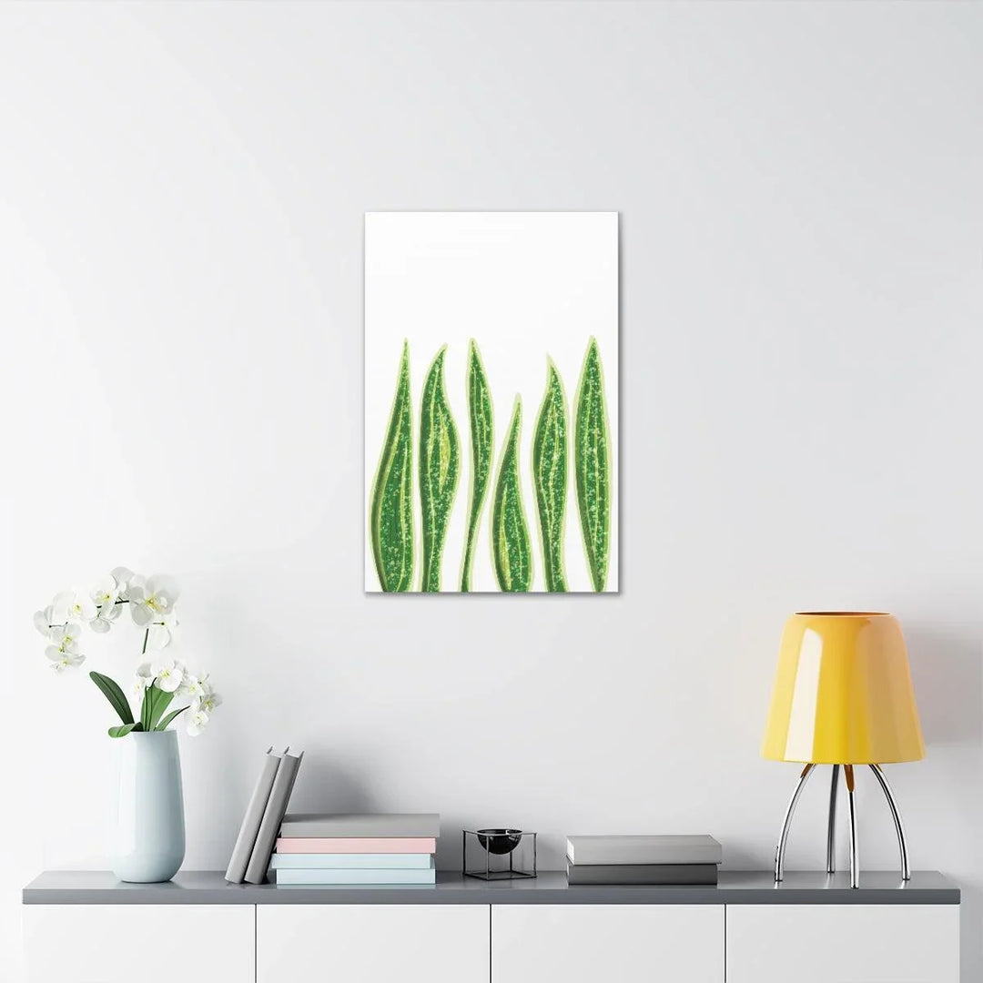 Snake Plant Canvas | Botanical Canvas Decor - Matte Finish Artwork for Living Room - Laura Christine Photography & Design