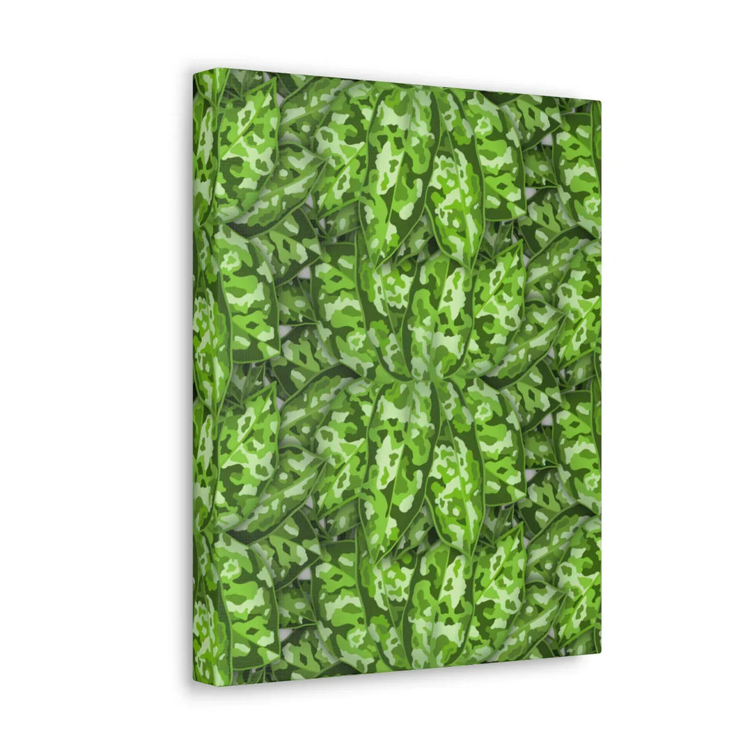 Aglaonema Pictum Canvas - Rare Camouflage Leaf Print Canvas Art Print