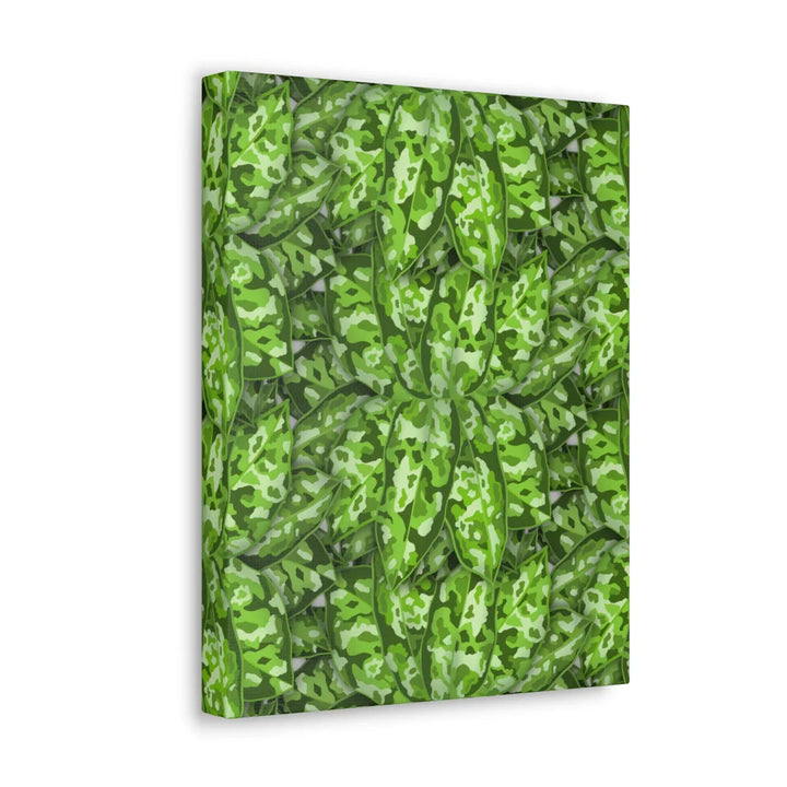 Aglaonema Pictum Canvas - Rare Camouflage Leaf Print Canvas Art Print