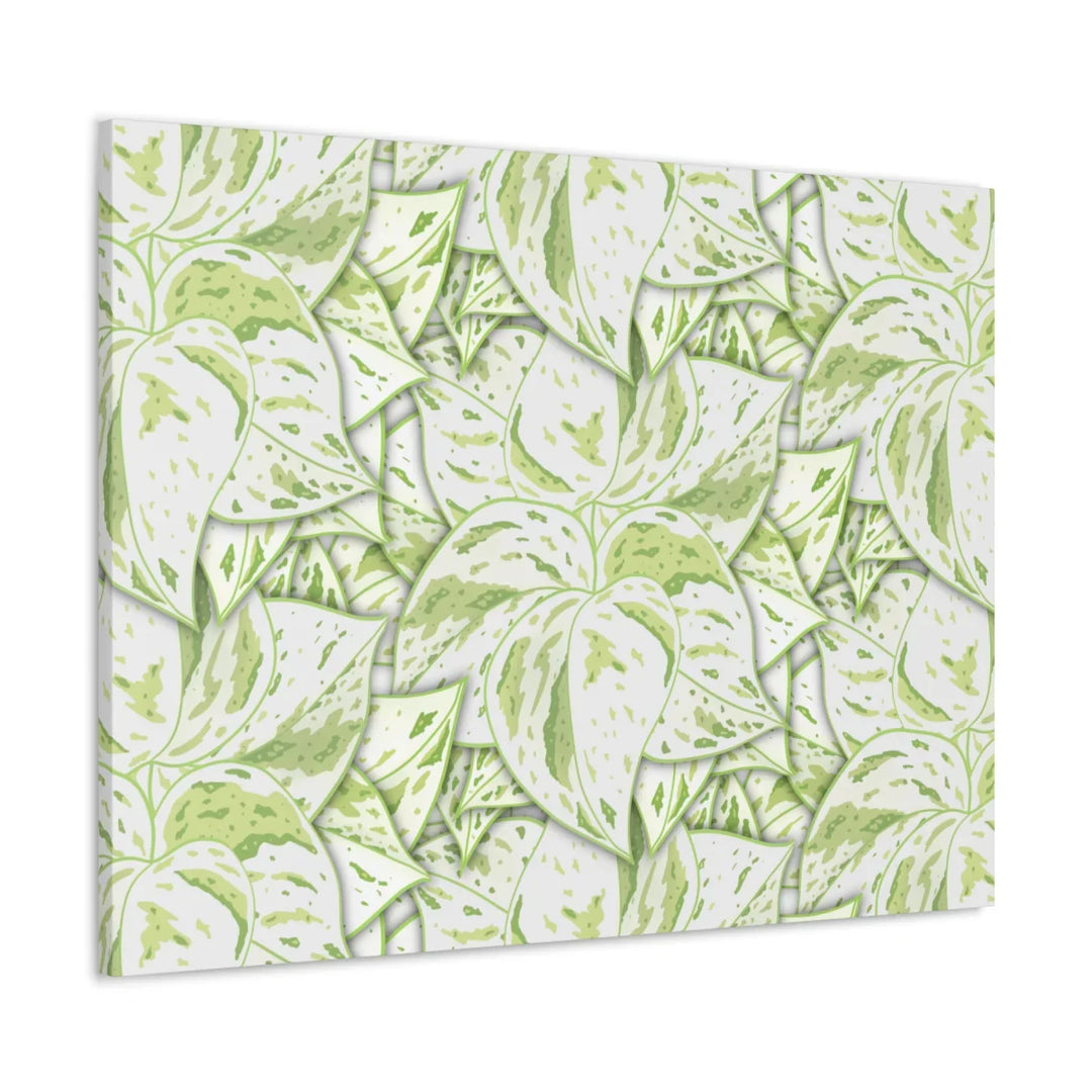 Snow Queen Pothos Canvas – Matte Finish Canvas Art Print | Variegated Botanical Wall Decor