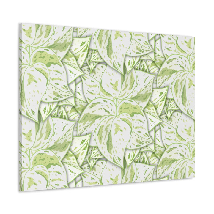 Snow Queen Pothos Canvas – Matte Finish Canvas Art Print | Variegated Botanical Wall Decor