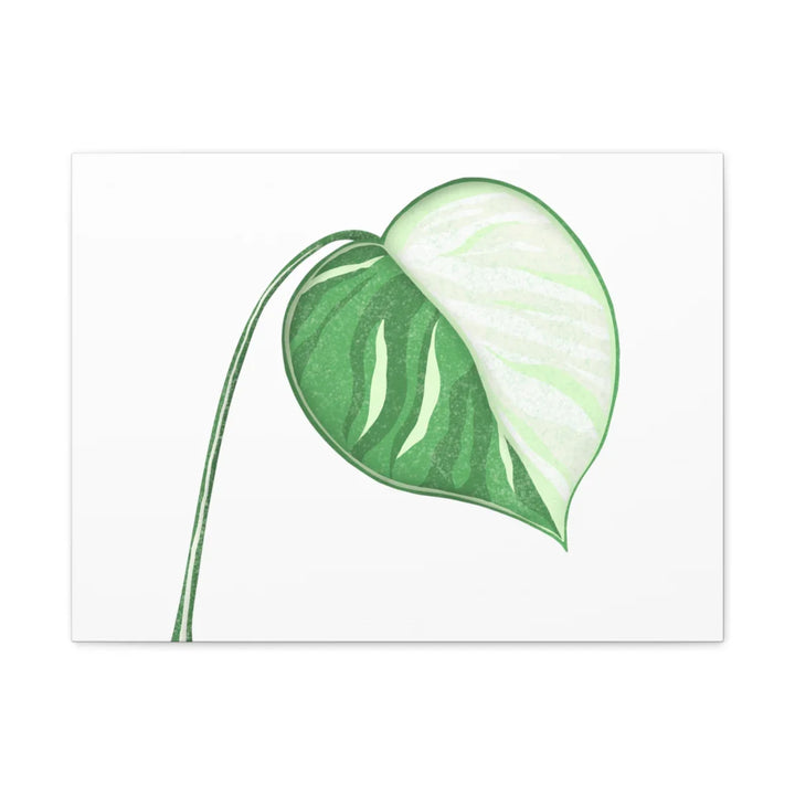 Monstera Albo Canvas | Large Tropical Leaf Artwork - Matte Finish Canvas Art Print - Laura Christine Photography & Design