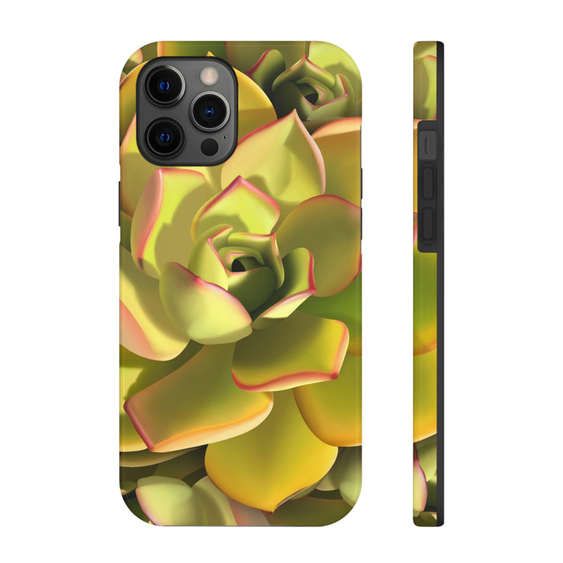 Noble Aeonium Succulent Phone Case, Phone Case, Printify, Accessories, Glossy, iPhone Cases, Matte, Phone accessory, Phone Cases, Samsung Cases, Laura Christine Photography & Design, laurachristinedesign.com