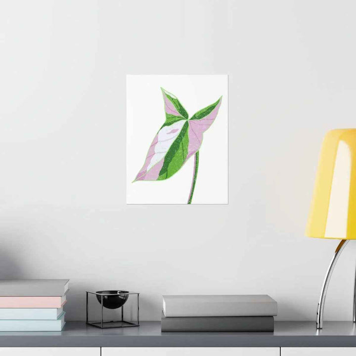 Syngonium Tricolor Print – Botanical Wall Art | Variegated Leaf Poster Unframed