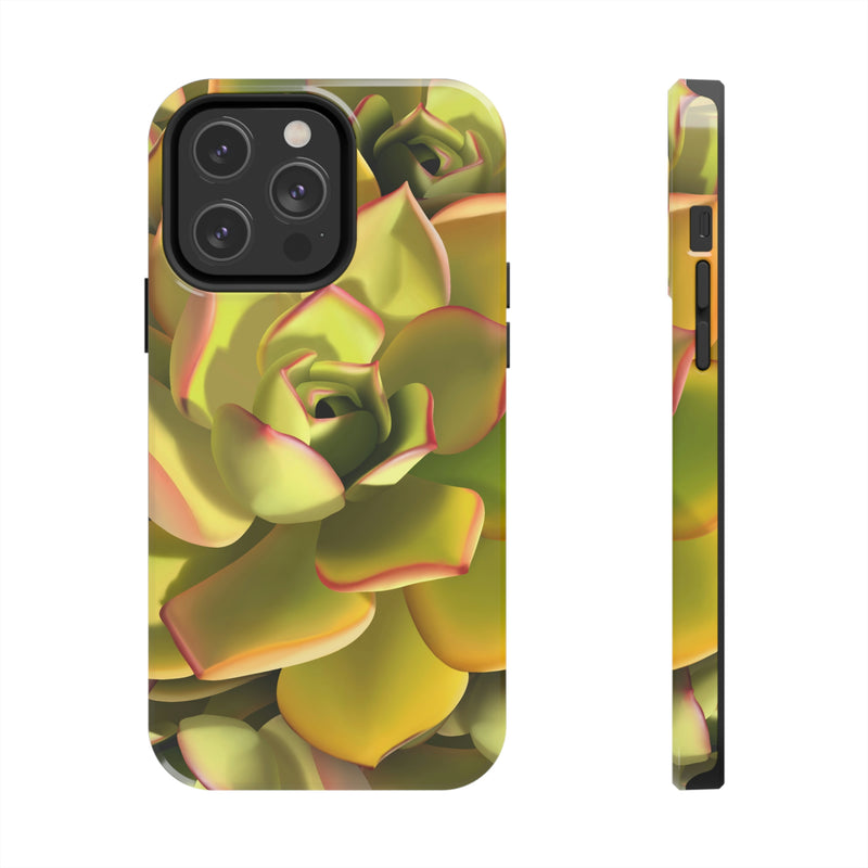 Noble Aeonium Succulent Phone Case, Phone Case, Printify, Accessories, Glossy, iPhone Cases, Matte, Phone accessory, Phone Cases, Samsung Cases, Laura Christine Photography & Design, laurachristinedesign.com