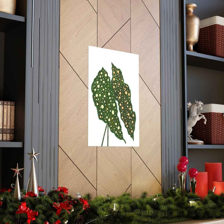 Begonia Maculata Print - Botanical Wall Art on Museum Grade Paper | Matte Finish Unframed