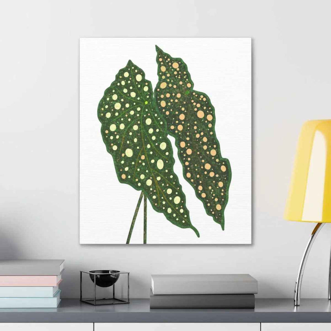 Begonia Maculata Canvas | Premium Canvas Art Print - Matte Finish, Durable Wall Decor