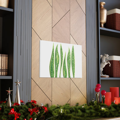 Snake Plant Canvas