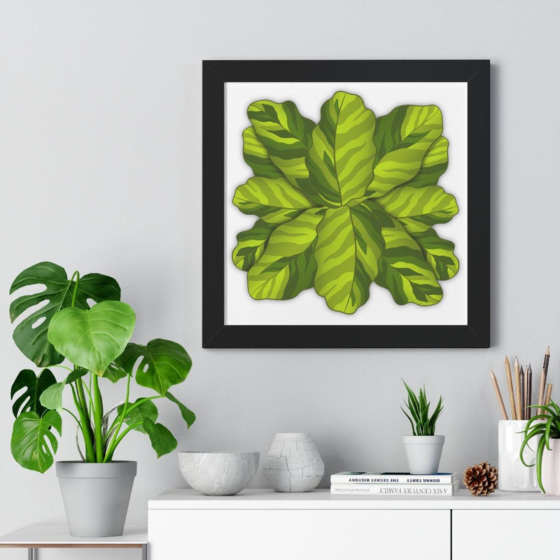 Calathea Yellow Fusion Framed Print, Poster, Laura Christine Photography & Design, Bottle, Calathea, Canvas Bag, Coffee, Drinkware, Framed, Home & Living, Indoor, Paper, Posters, Prayer Plant, Reusable, Shopping Bag, Tea, Tote Bag, Travel, Tumbler, Water, Yellow Fusion, Laura Christine Photography & Design, laurachristinedesign.com