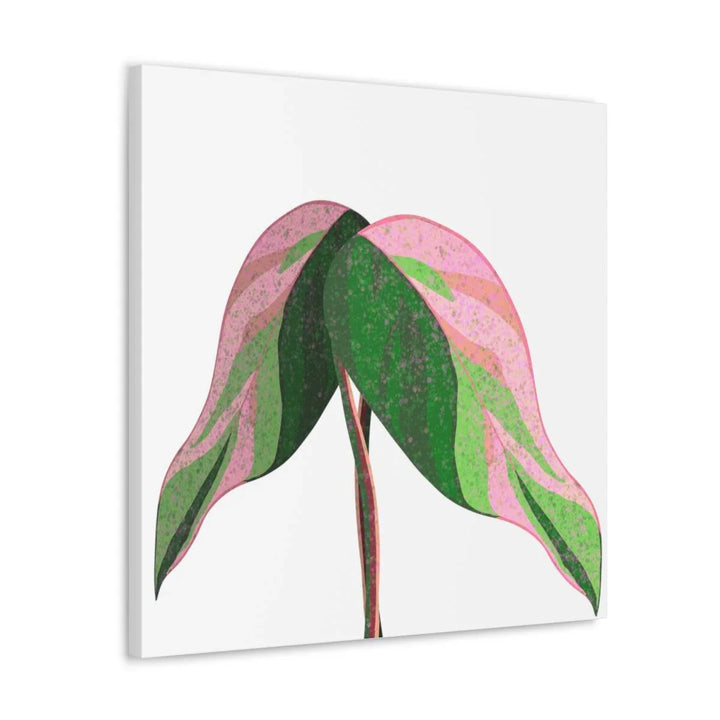 Pink Princess Philodendron Canvas, Canvas, Laura Christine Photography & Design, Art & Wall Decor, Canvas, Hanging Hardware, Home & Living, Indoor, Laura Christine Photography & Design, laurachristinedesign.com