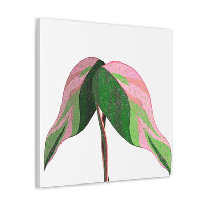 Pink Princess Philodendron Canvas, Canvas, Laura Christine Photography & Design, Art & Wall Decor, Canvas, Hanging Hardware, Home & Living, Indoor, Laura Christine Photography & Design, laurachristinedesign.com