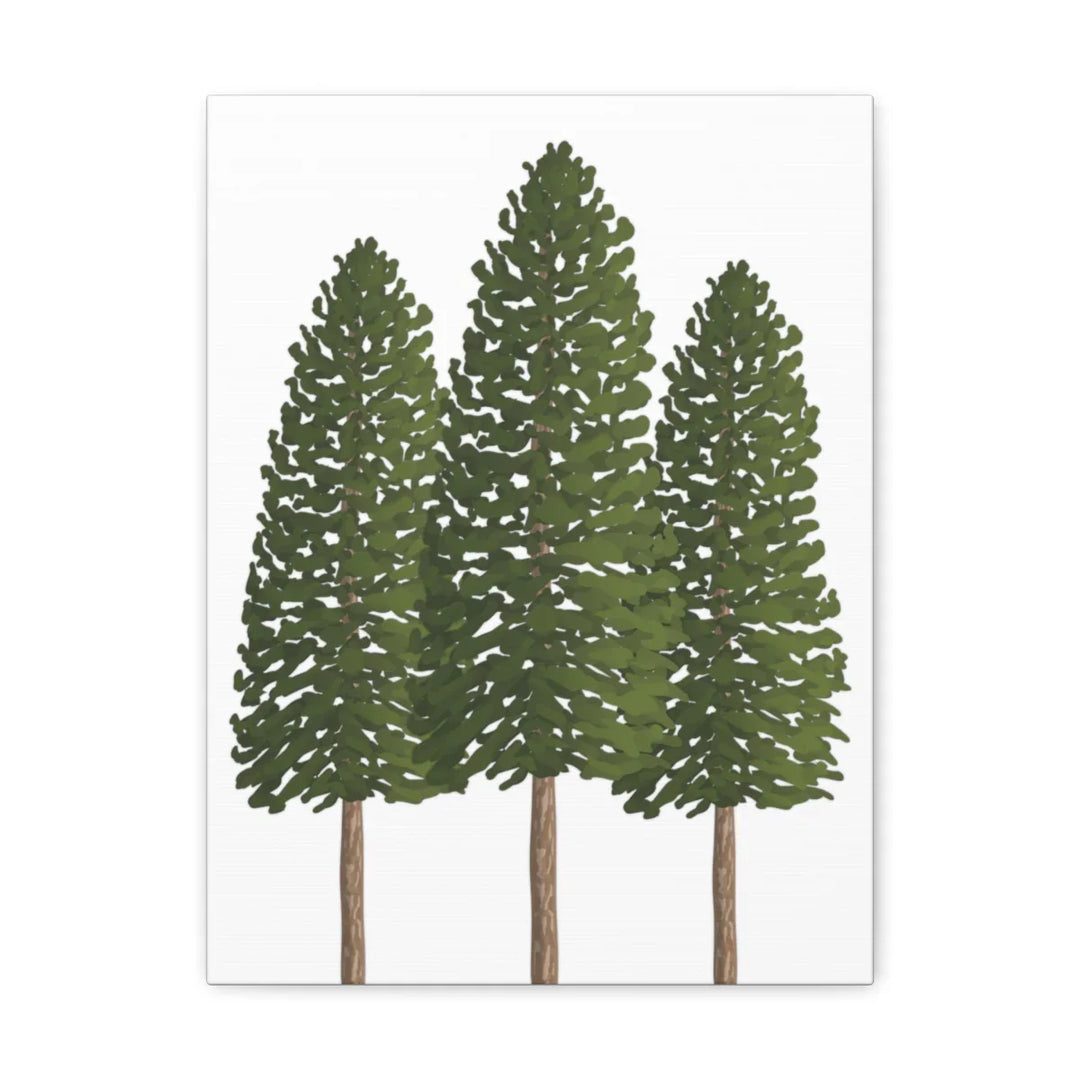 Ponderosa Pine Canvas - Large Stretched Cotton Canvas Art Print With Matte Finish
