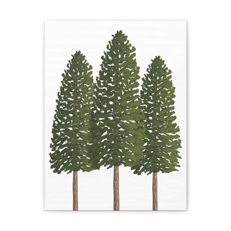 Ponderosa Pine Canvas