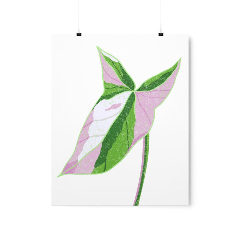 Syngonium Tricolor Print, Poster, Laura Christine Photography & Design, Back to School, Home & Living, Indoor, Matte, Paper, Posters, Valentine&
