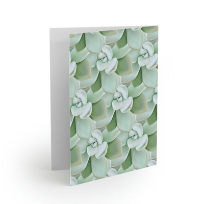 Pachyveria Haagei Succulent Pattern Greeting Card, Paper products, Printify, Greeting Card, Holiday Picks, Home & Living, Paper, Postcard, Postcards, Laura Christine Photography & Design, laurachristinedesign.com