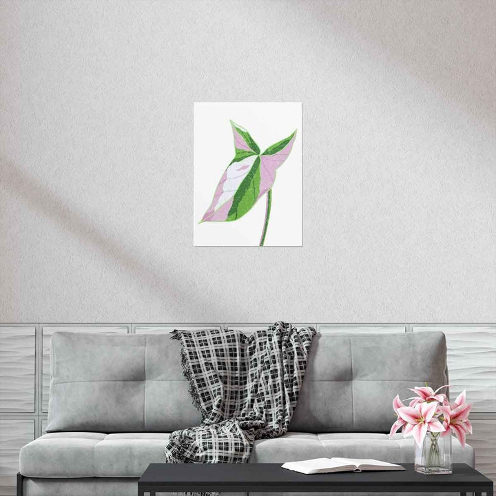 Syngonium Tricolor Print – Botanical Wall Art | Variegated Leaf Poster Unframed