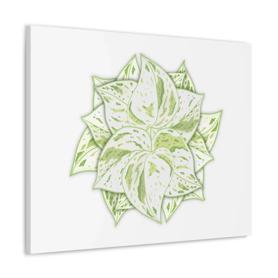 Snow Queen Pothos Canvas – Variegated Leaf Canvas Art Print | Durable Cotton - Laura Christine Photography & Design